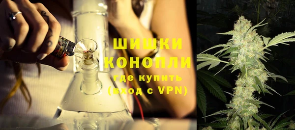 гидропоника Бородино